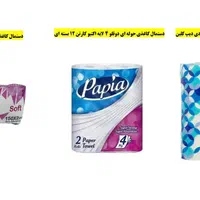 فروش محصولات سلولزی با قیمت ویژه به تعدادمحدود|مواد شوینده و دستمال کاغذی|تهران, آرژانتین|دیوار