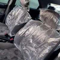 زانتیا در حد