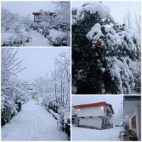 ویلا باغ مسکونی ۳۱۰۰ متر سنددار|فروش خانه و ویلا|رشت, بلوار گیلان|دیوار