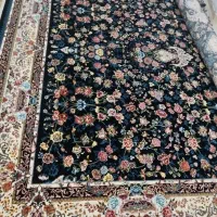 فرش ۱۲ متری|فرش|جوانرود, |دیوار