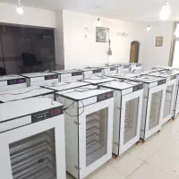 دستگاه جوجه کشی  zdضربه سه لـایــه