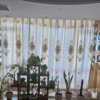 پرده والن طرح هندی