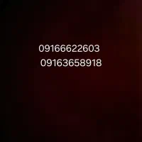 فروش دو عدد خط 0916