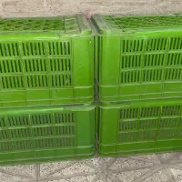 سبد|ظروف نگهدارنده، پلاستیکی، یکبارمصرف|نیشابور, ابراهیمی|دیوار