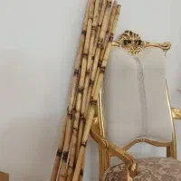 چوب بامبو تعدادبالا تا2متر