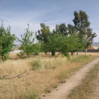 باغ-شهری-700-متری-دنج