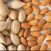 فروش 2.5 تن بادام سنگی، شاهرودی ،ارقام 7و8