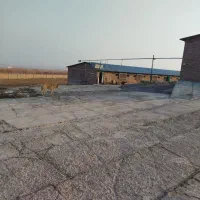 به یک کارگر برای کار مرغداری نیازمندم