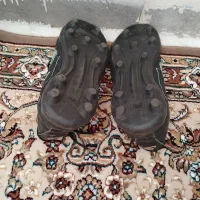 کفش استوک|کیف، کفش، کمربند|سنقر, |دیوار