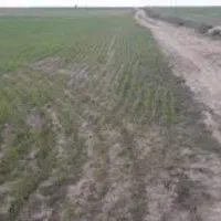 زمین کشاورزی