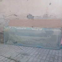 آکواریوم بزرگ