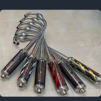 اگزوزسیلور