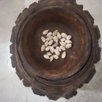 ظرف چوبی تنه درخت|صنایع دستی و سایر لوازم تزئینی|تهران, شهران جنوبی|دیوار