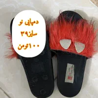 کفش و کتونی|کیف، کفش، کمربند|قم, باجک دو|دیوار