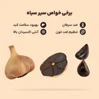 سیر سیاه|خوردنی و آشامیدنی|رشت, چله خانه|دیوار