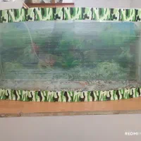 آکواریوم بزرگ