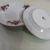 ظرف و ظروف زیبای گلسرخی