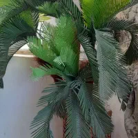 گلدان بزرگ نخل وگل