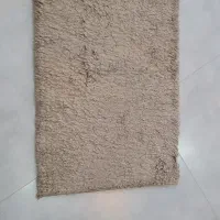 پادری خز دار