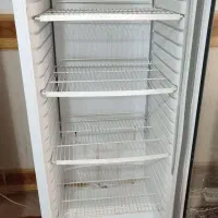 یخچال مغازه تک درب|فروشگاه و مغازه|ایرانشهر, |دیوار