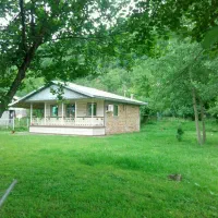 ویلا دردل جنگل