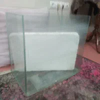 آکواریوم شیشه محدب