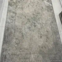 فرش جدید|فرش|رشت, پل تالشان|دیوار