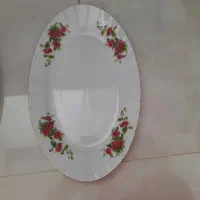 چینی زرین|ظروف سرو و پذیرایی|اراک, |دیوار