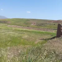 ۲هکتار زمین زراعی مرغوب|فروش زمین و ملک کلنگی|فیروز, |دیوار