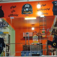 پت شاپ پیشی بلک/غذای گربه و سگ،لوازم پرنده