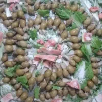 کار در منزل شغل خانگی پرورش حلزون