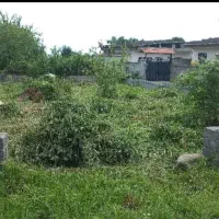 زمین فروشی با جواز ساخت و سند در دست اقدام