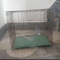 لار|پرنده|خور (فارس), |دیوار