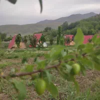 الاچیق کانکس کلبع|مصالح و تجهیزات ساختمان|بروجرد, |دیوار