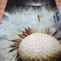 دوعددقالیچه|فرش|لنگرود, |دیوار