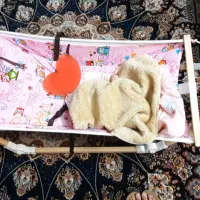 گهواره بانوج آسای