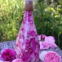 خرید و فروش گل محمدی