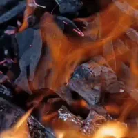 فروش عمده ذغال کبابی