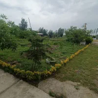 نیروی کار در باغ و مزرعه پرورش ماهی جهت نگهبانی