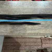 مو ۹۰ و۶۷سانتی