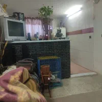 پذیرش همخونه خانم تا ۳۵سال