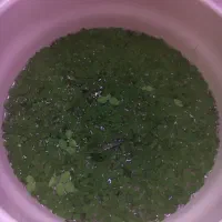 گیاه روابی سالوینیا