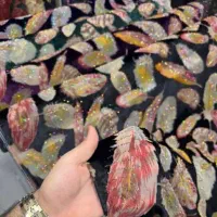 کارگر ساده برای کارگاه نگین زنی