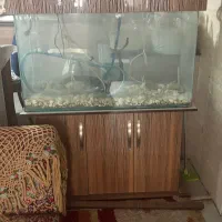 آکواریوم شیشه ای
