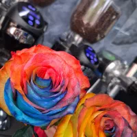 باریستا حرفه ای