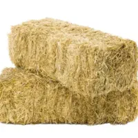 فروش کاه و پرس