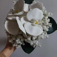 گل ارکیده و عروس