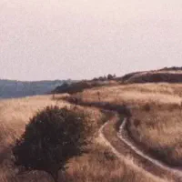 راهنمای لاستیک