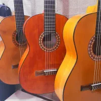 گیتار حرفه ای (تمام چوب)