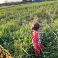 لباس دخترانه
